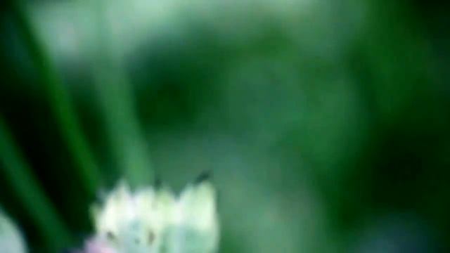 Запрет на негативное энергетическое влияние. смотреть онлайн