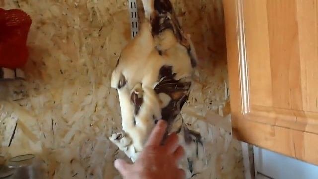 Опять копченое сало.