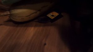 отзыв о ультразвуковом отпугивателе мышей