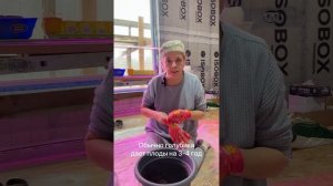 Лучшие низкорослые сорта голубики. Вырасти вкусняшку в горшке.