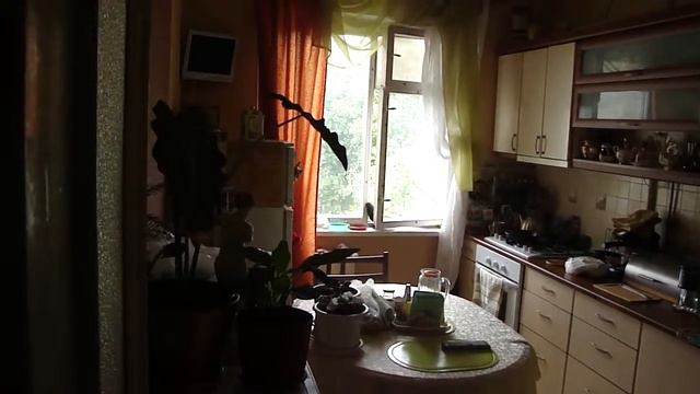 Наглый голубь смотреть онлайн