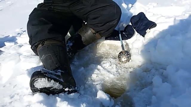 Удмуртия, соревнования на мормышку со льда смотреть онлайн