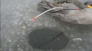 ловля уклейки зимой