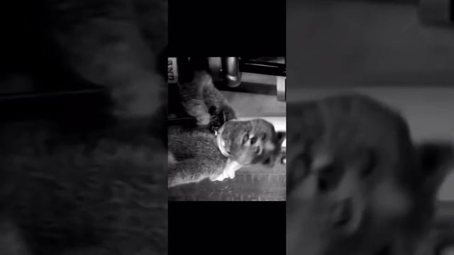 Запрещённое видео которое ломает психику...#запрещённоевидео#смерть#тыумрёшь