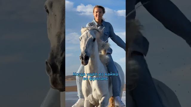 Найм или фриланс? #буднидизайнера #графическийдизайнер