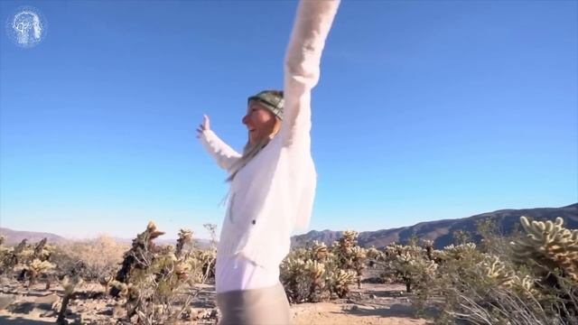 Как устроена реальность | Эффект наблюдателя | Джо Диспенза смотреть онлайн