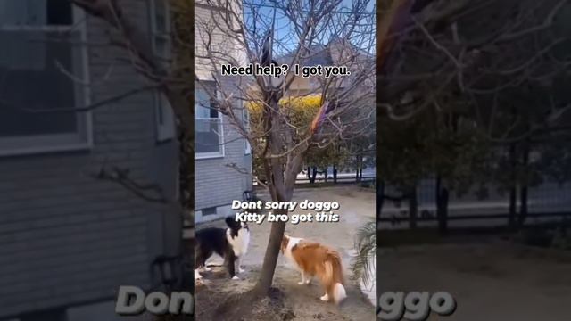 🔥СмехоМания🔥
🔥t.me/Laughomania🔥
