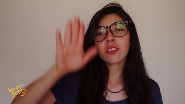 Animales con vista súper poderosa| Día Internacional Luz 2019 смотреть онлайн