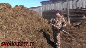 Навоз – подготовка перед внесением