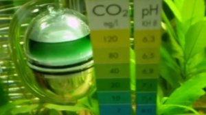 всё пузыряет (сайдекс)