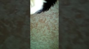 Обматываю себя скотчем