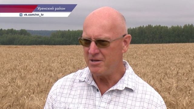 Уборочная кампания  проходит в Нижегородской области