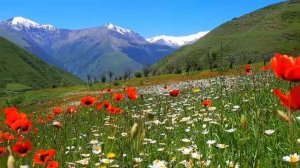 Село Ялак , Зегье - дере , лето 2022 , Красота 💚🦋🥰😍#ахтынскийрайон #дагестан #