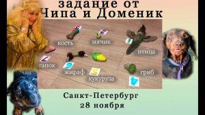 Задание № 2 "Чип и Доминик"  на поединке среди экстрасенсов в г. Санкт-Петербург от 28 ноября