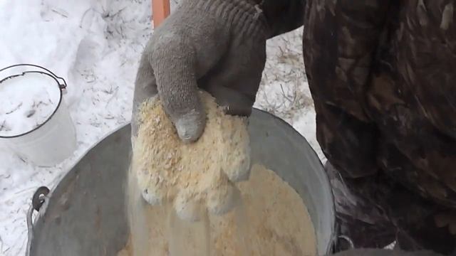 Бункерная кормушка для поросят.