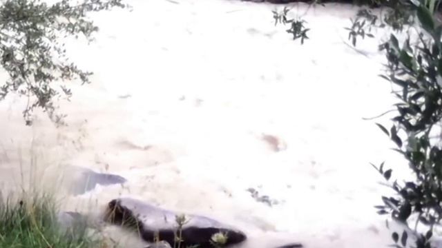 ЗиЛ 131 Краснодар. Путешествие в КЧР. Исток реки Кубань. смотреть онлайн