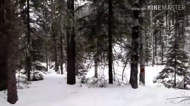 Рыбалка на Хариуса смотреть онлайн