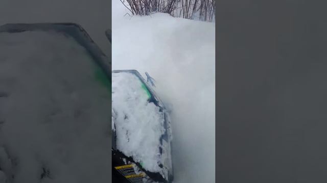 580 arctic cat смотреть онлайн