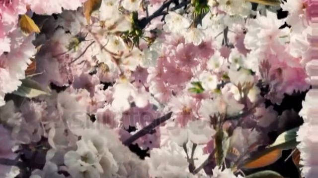 КАК ЛЮБЛЮ Я ПРАЗДНИК ПАСХИ!. смотреть онлайн