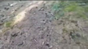 все что было за кадром (Сумерки)