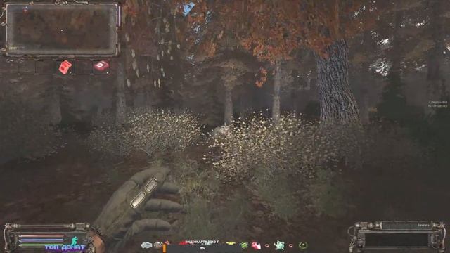 S.T.A.L.K.E.R   ОП-2.2  Поход в Красный Лес Тайники и местные жители # 63
