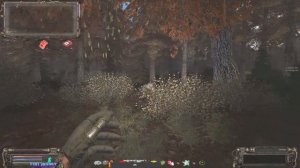 S.T.A.L.K.E.R   ОП-2.2  Поход в Красный Лес Тайники и местные жители # 63