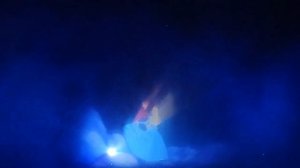 NEW Fantasmic Show FIRST Performance - Incredible Crowd - Walt Disney World