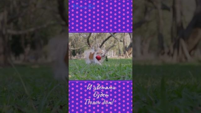 С прекрасным праздником весны! смотреть онлайн