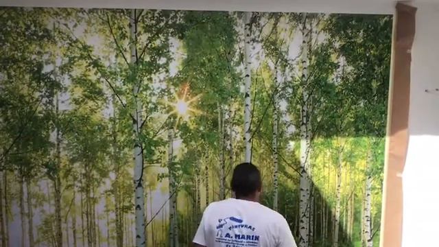 Proteger foto mural смотреть онлайн