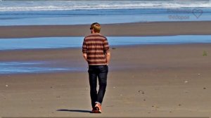 Притча о Девочке и морских Звёздах