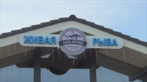 Акваферма в Ленинградской области