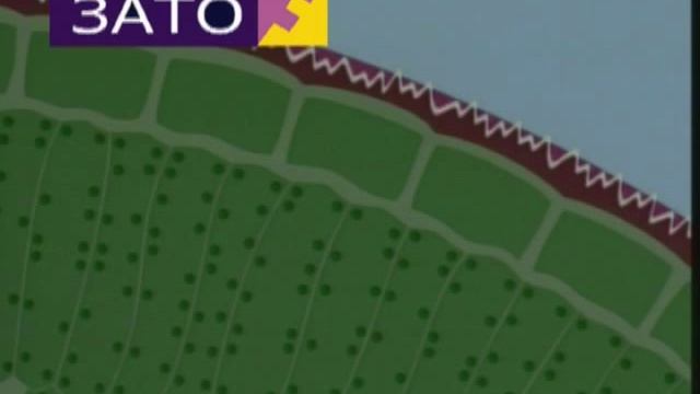 Зато - фунгицид смотреть онлайн