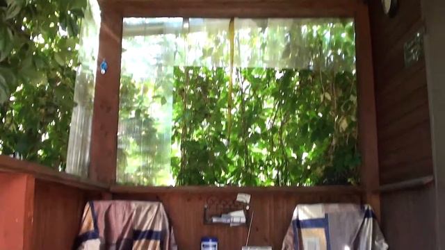 Участок и дом смотреть онлайн