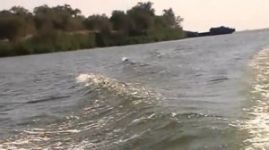 Водная прогулка близ маленького города Дубовка Волгоградской обл.