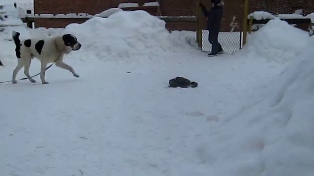 MVI 8083 смотреть онлайн