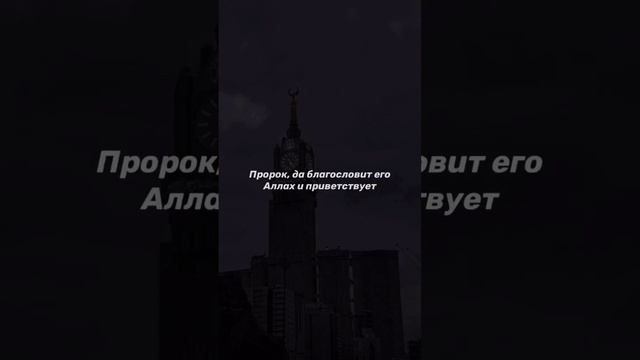 "О МУСУЛЬМАНЕ, ПАЛЬМОВЫЕ ДЕРЕВЬЯ... "