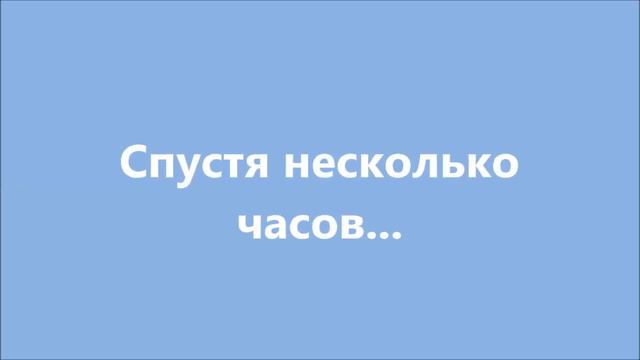 12 июня на пляжах Архипо-Осиповки: что изменилось с открытием границ внутри Краснодарского края?