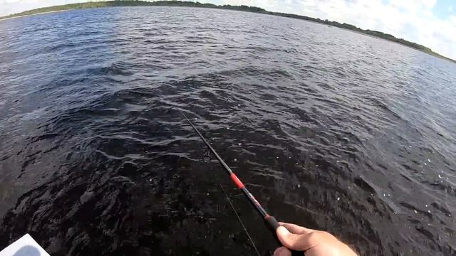 Где НАЙТИ ЛЕГКО ЩУКУ с Лодки!!! Там всегда МНОГО ПОКЛЁВОК ! смотреть онлайн