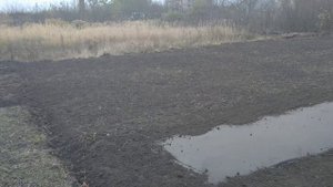 Посадка клубники под Спанбонд