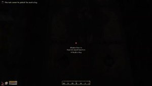 The Elder Scrolls IV: Oblivion - 100% Chameleon