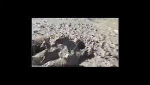 сталефибробетон