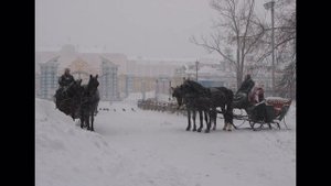 Царское село. Зима.