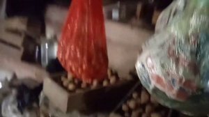 Хранение капусты