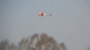 Kamenka, flying RC helicopters T Rex500 T Rex550 p72