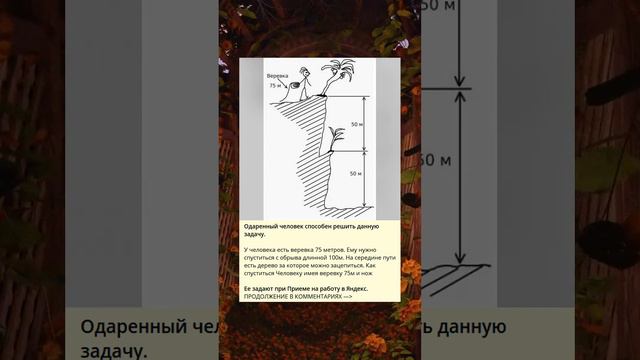 Одаренный человек способен решить данную задачу.