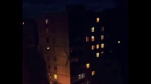 Большой палочник