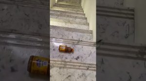 лестница против бутылок