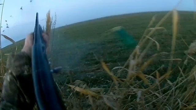 Охота на серого гуся ?закрыли осенне-зимний сезон! смотреть онлайн