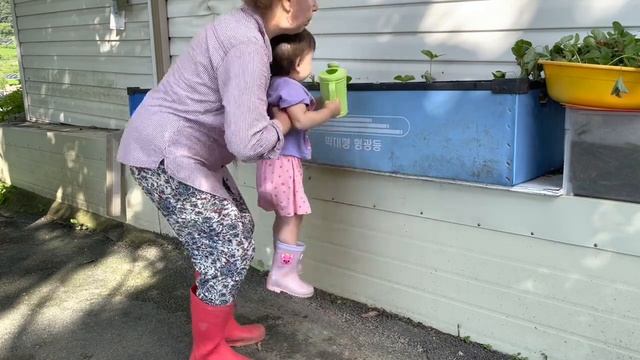 44_ПЕРЕЗАЛИВ ? Доделала контейнеры / Приезжал староста /Капуста / Обрезала клубнику и посадила смотреть онлайн