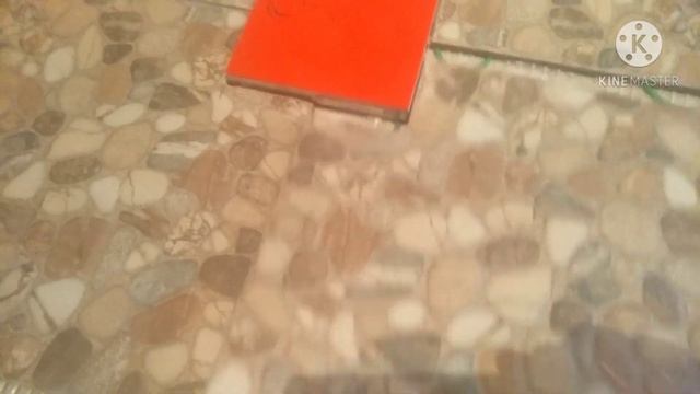 как сделать полы в мойке/электричество в парной/пропитка парной, полка маслами/первая топка